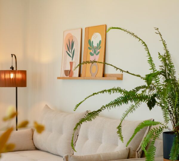 inoho apartment